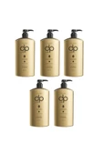 DP DAİLY PERFECTİON,Tuzsuz Şampuan Çam Terebentin 5 Adet 800 ml - 1