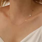 925 Ayar Gümüş Taşlı Uğur Böceği Harf Kolye thumbnail 1