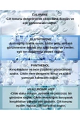 Leke Karşıtı Ton Eşitleyen Spf 50 Pembe Renkli Güneş Kremi Glutatyon, Hyaluronik Asit Etkili 50 ml - 4