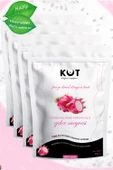 EJDER MEYVESİ (BEYAZ) DONDURULARAK KURUTULMUŞ 20 GRAM X 4 PAKET FREEZE DRIED DİLİM BEYAZ EJDER - 3