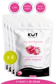 EJDER MEYVESİ (BEYAZ) DONDURULARAK KURUTULMUŞ 20 GRAM X 4 PAKET FREEZE DRIED DİLİM BEYAZ EJDER - 1
