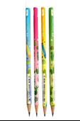 Kaktüs Yuvarlak Kurşun Kalem 4 Adet 1 Paket Faber Kurşun Kalem 2B Siyah Kurşun Kalem Kaktüs Desenli 2B Kalem - 4