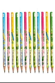 Kaktüs Yuvarlak Kurşun Kalem 12 Adet 1 Paket Faber Kurşun Kalem 2B Siyah Kurşun Kalem Kaktüs Desenli 2B Kalem - 3