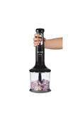 Arnica Diva El Blender Seti Siyah GH21595 - 3