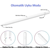 iPad  Air/Pro 11 inç 2024 Uyumlu Avuç İçi Algılamayan Eğimle Çizim Kalınlığı Değişen Tablet Kalemi - 4