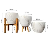 Bitki Tasarımı Beyaz Üzeri Gold Mermer Efektli Toprak Saksı Saksılık Salon Çiçeklik Üçlü Set - 15 Cm - 2