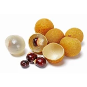 LONGAN FİDANI 4 YAŞ 50-60 CM - 1