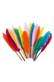 Tüy Karışık Renkli 10 Lu thumbnail 2