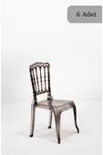SANDALİE  6 Adet / Mutfak&Salon&Bahçe Dante Sandalye - Füme - 1