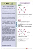 Apotemi Problemler - 4