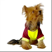 Bunny Bordo Fosfor Kapşonlu Sweat by Kemique Köpek Kazağı - 7