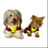 Bunny Bordo Fosfor Kapşonlu Sweat by Kemique Köpek Kazağı - 2