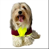 Bunny Bordo Fosfor Kapşonlu Sweat by Kemique Köpek Kazağı - 5