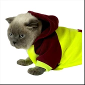 Bunny Bordo Fosfor Kapsonlu Sweatshirt Kedi Süeteri Kedi Kıyafeti - 4