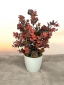 Nettenevime Yapay Çiçek Beyaz Saksıda Okaliptus Şimşir Demeti Pudralı Pastel Bordo Dekoratif Yapay Bitki - 1