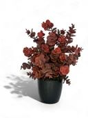 Nettenevime Yapay Çiçek Siyah Saksıda Okaliptus Şimşir Demeti Pudralı Pastel Bordo Dekoratif Yapay Bitki thumbnail 2