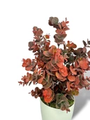 Nettenevime Yapay Çiçek Beyaz Saksıda Okaliptus Şimşir Demeti Pudralı Pastel Bordo Dekoratif Yapay Bitki - 4