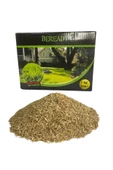 Beready 6 Karışımlı Çim Tohumu 1 Kg - 3