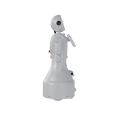 Mini Ada Sosyal Robot - 3