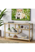 Zizuva Gold Tasarım Tv Sehpası - 4
