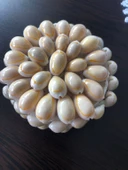 DENİZ KABUKLU BOZUK PARA CÜZDANI - 1