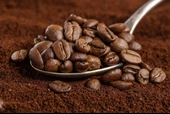 TAZE ÇEKİLMİŞ TÜRK KAHVESİ 100 GR - 2