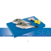 Polietilen Kesme Levhası (düz kenar ve düz köşeli ) 30x50x1,5 CM - 2