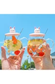 Happy Day Havuç Desenli Tavşan  Figürlü Cam Pipetli Kapaklı Cam Bardak Kupa Dekoratif Hediyelik - 2