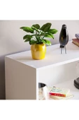 aden home senin evin senin dünyan Beyaz Kitaplık, 3 Raflı Kitaplık,%100 Mdf Çok Amaçlı Raf, Ayakkabılık - 4