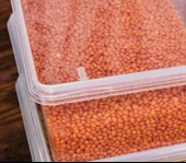 Superpup Saklama Kabı 20 Adet 1 Litre Kendinden Kapaklı Ve Kilitli Dondurucu Ve Gıda Hava Almaz 19x13x6 Cm - 3