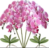 Nettenevime 4lü Set Yapay Çiçek Pembe Açık Islak Orkide ve 2 Adet Orkide Yaprağı Gerçeksi Doku Uzun Dal 90cm thumbnail 1