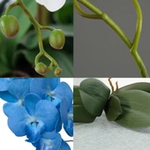 Nettenevime 4lü Set Yapay Çiçek Mavi Islak Orkide ve 2 Adet Orkide Yaprağı Gerçeksi Doku Uzun Dal 90cm thumbnail 5