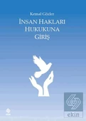 İnsan Hakları Hukukuna Giriş Kemal Gözler thumbnail 2