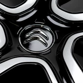 Citroen Uyumlu 16 inç Jant Kapağı - 2