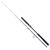 Ryuji Seawolf 1.68m 150-250gr 2P Jig Olta Kamışı thumbnail 1