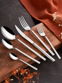 BEGONYA 30 PARCA CKB TAKIMI thumbnail 2