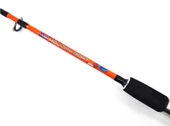 Kendo Holiday Boat 1.65m 100-250gr 2 Parça Olta Kamışı - 2