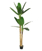 Yapay Ağaç Muz Ağacı Yapay Starliçe 220cm - 3