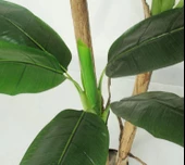 Yapay Ağaç Muz Ağacı Yapay Starliçe 220cm - 2