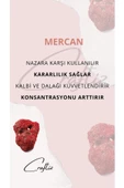 Mercan Kalp Çelik Zincirli Kolye - 3