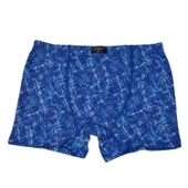 Erkek Baskılı Likra Boxer BGL-ST03866 thumbnail 5