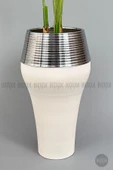 BİÇİÇEK   220cm Starliçe Bitkisi Cleopatra saksıda krem gümüş - 3