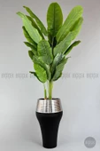 BİÇİÇEK   220cm Starliçe Bitkisi Cleopatra saksıda siyah gümüş - 6