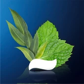 Oral-B Pro Sensitive Diş Macunu Nane 75 Ml - 7