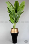 BİÇİÇEK   220cm Starliçe Bitkisi Cleopatra saksıda siyah gold - 5