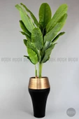 BİÇİÇEK   220cm Starliçe Bitkisi Cleopatra saksıda siyah gold - 1