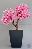 BİÇİÇEK   Bonzai gövdeli Pembe Sakura Ağacı 150cm Dış Mekana Uygun thumbnail 1