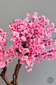 BİÇİÇEK   Bonzai gövdeli Pembe Sakura Ağacı 150cm Dış Mekana Uygun thumbnail 5
