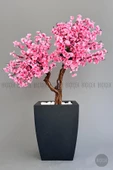 BİÇİÇEK   Bonzai gövdeli Pembe Sakura Ağacı 150cm Dış Mekana Uygun thumbnail 8
