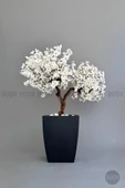 BİÇİÇEK   Bonzai gövdeli Beyaz Sakura Ağacı 150cm Dış Mekana Uygun thumbnail 2
